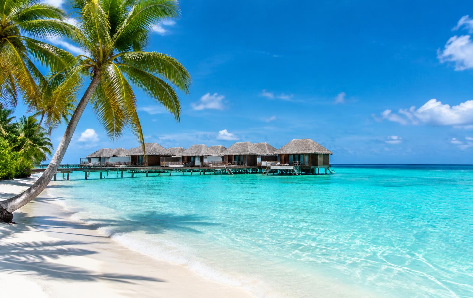 Tropical all-inclusive resort beach